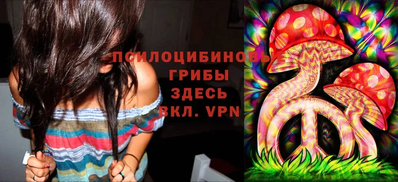 Галлюциногенные грибы Cubensis  Пушкино 